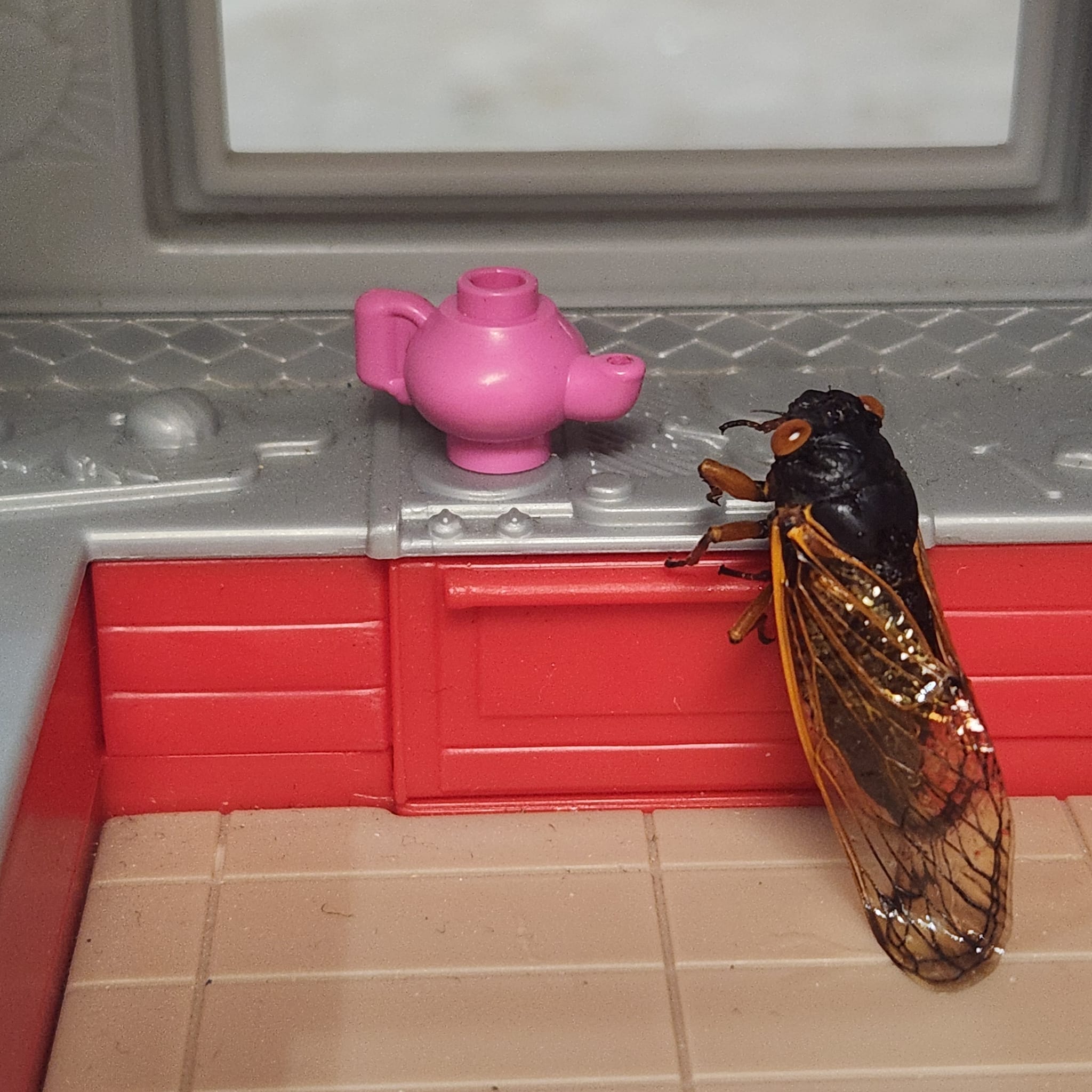 Photo series shows hilarious ‘day in the life’ of a cicada NBC Chicago