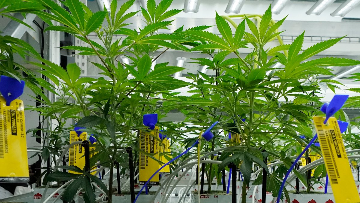 Pritzker praises Justice Department move to reclassify marijuana