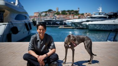 the real stars of cannes film festival may be the dogs
