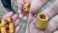 Dog treats stuffed with fishhooks found along Pa. stretch of Appalachian Trail