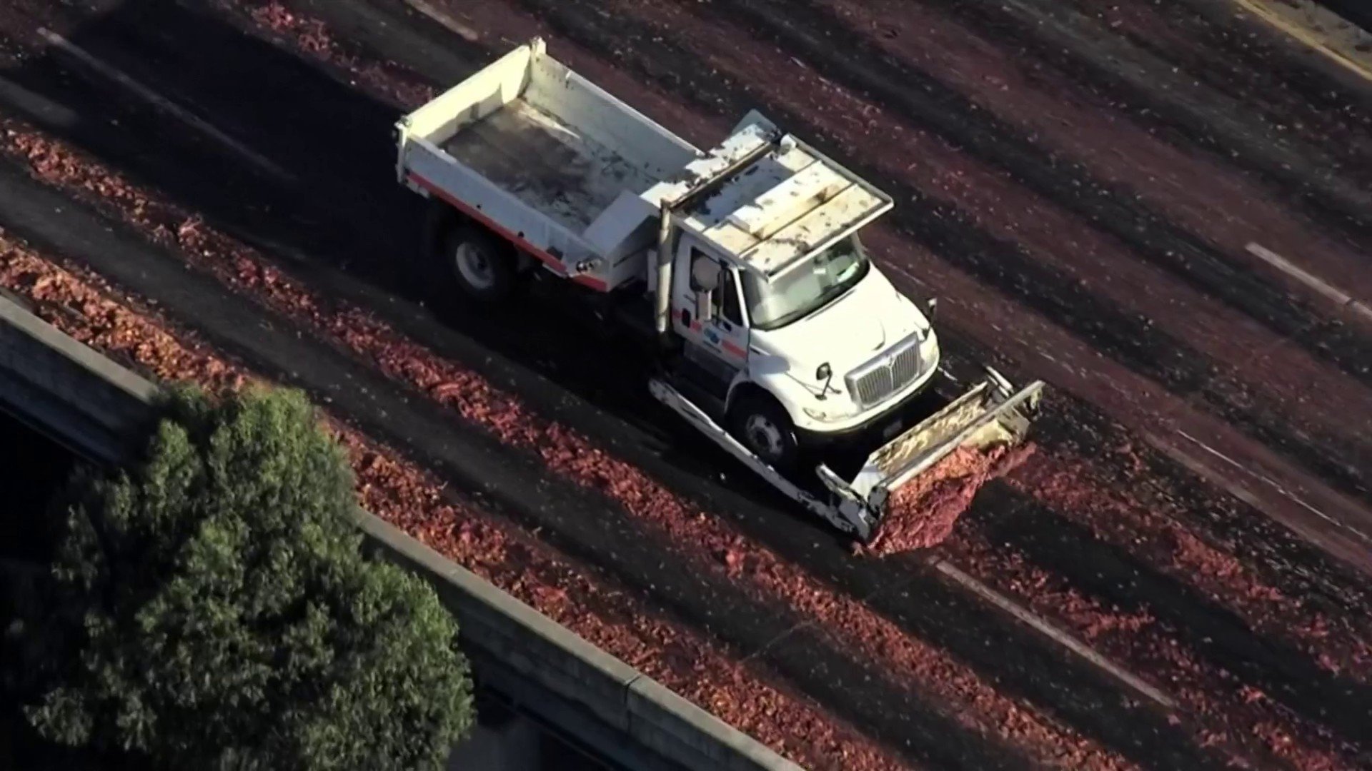 Meat spill sparks traffic delays on I-880 – NBC Chicago - Vimarsana News