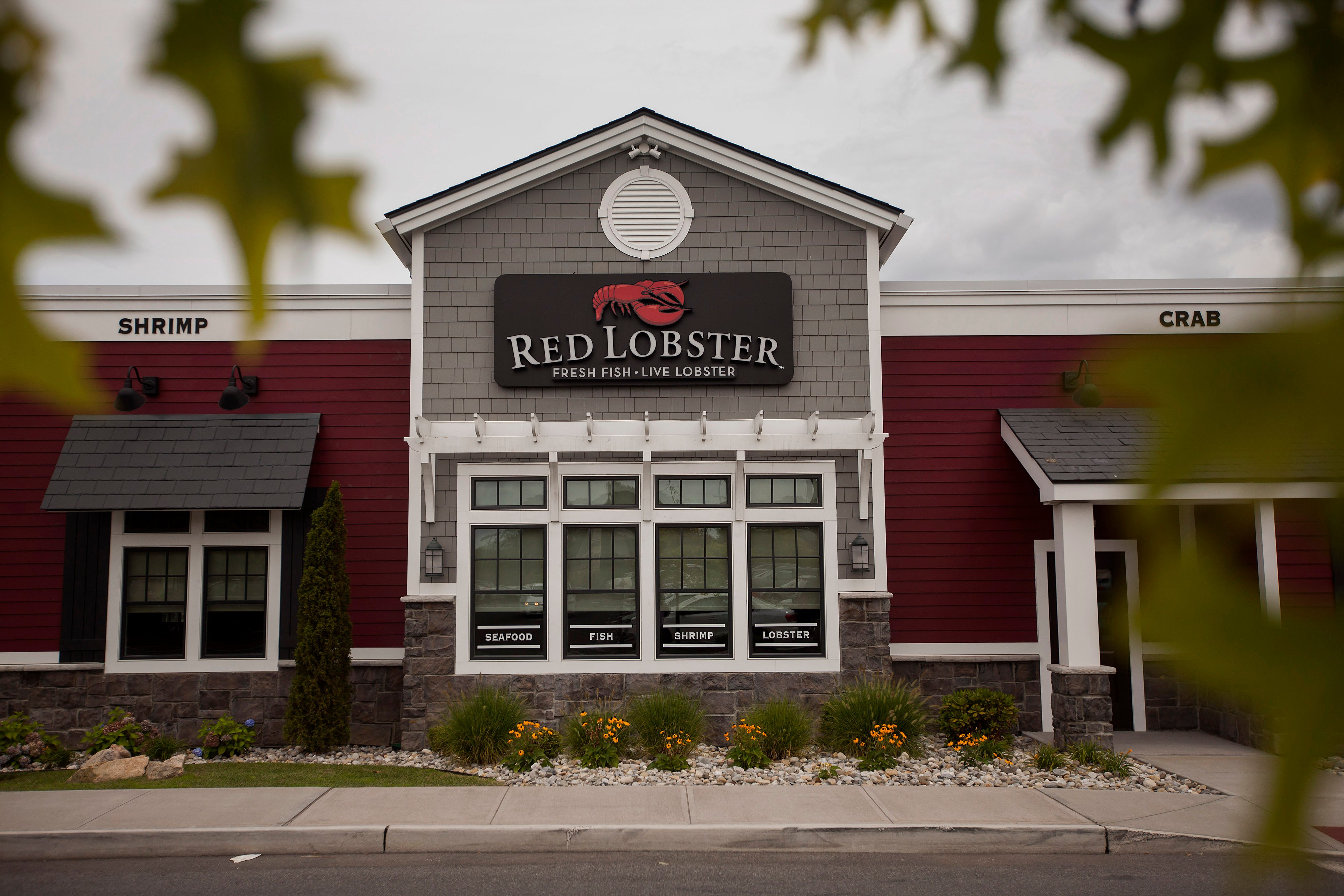 Red Lobster could close Bourbonnais, Michigan City restaurants – NBC Chicago - Vimarsana News