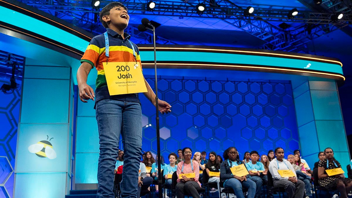 Scripps National Spelling Bee kicks off with 245 spellers competing – NBC Chicago - Vimarsana News