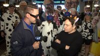 Holy cow! Toast to Harry Caray kicks off with star-studded line-up, live cows