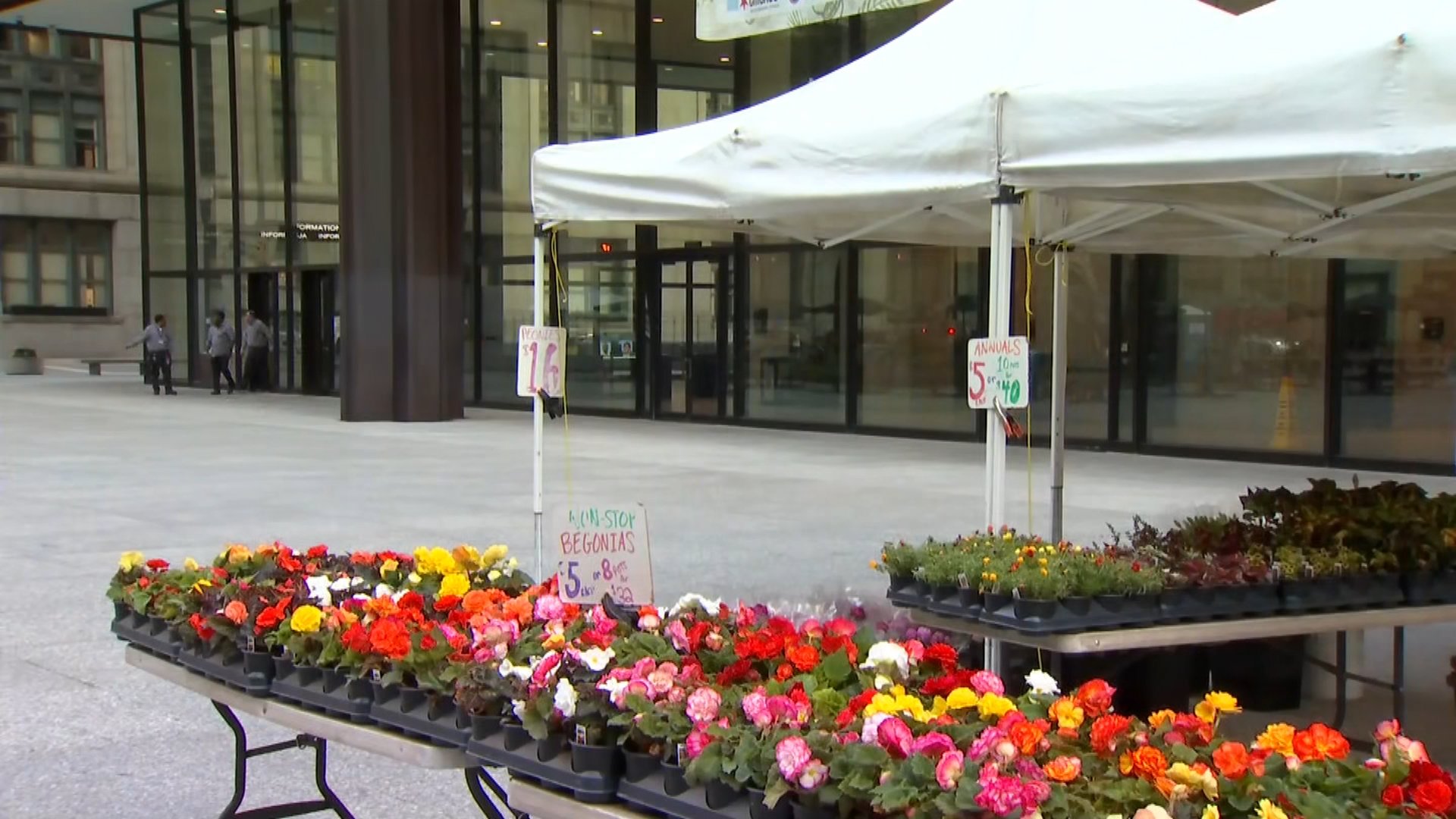 Chicago Farmers Markets: Daley Plaza Famers Market now open – NBC Chicago - Vimarsana News