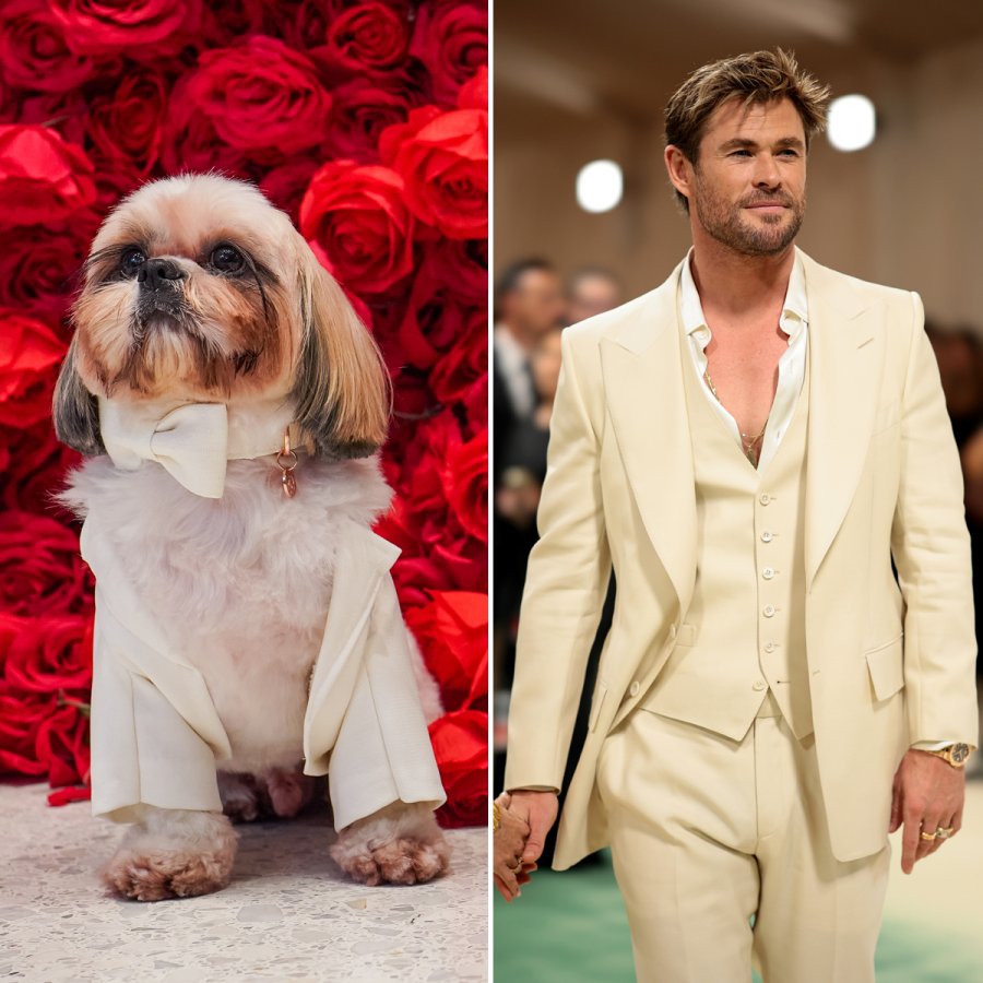 Gizmo and Chris Hemsworth