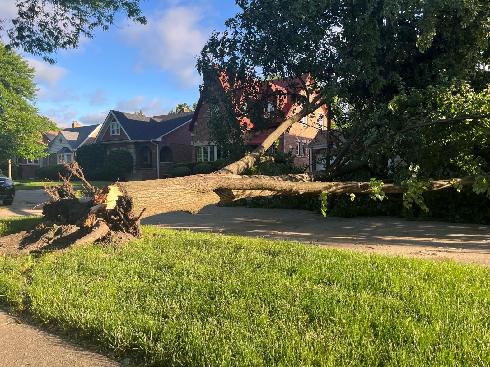 Chicago Trees Exploding Chicago power outages: More than 16k customers without power following ...