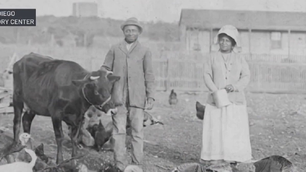 Collaborative organization works to help African Americans learn about their family history