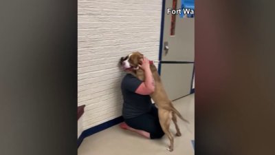 Emotional support dog reunites with owner after 2 years apart