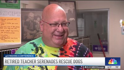 Retired teacher plays soothing music for dogs in area shelters