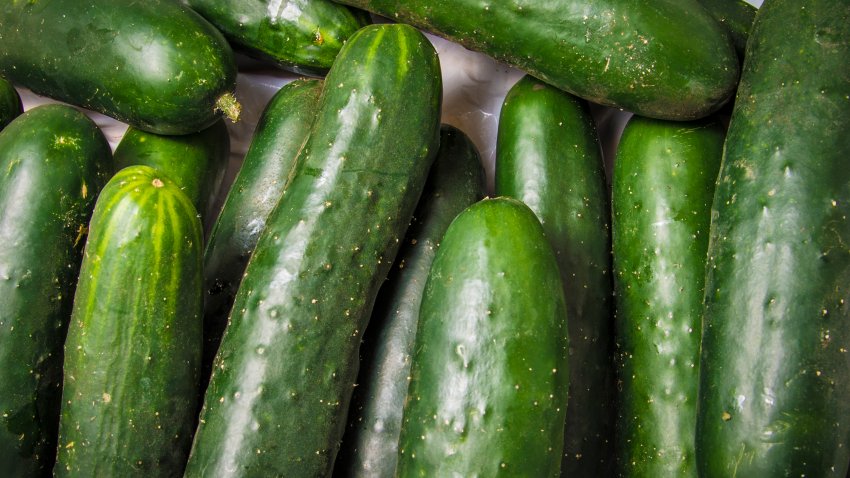 Close up of vegetables – cucumbers.
