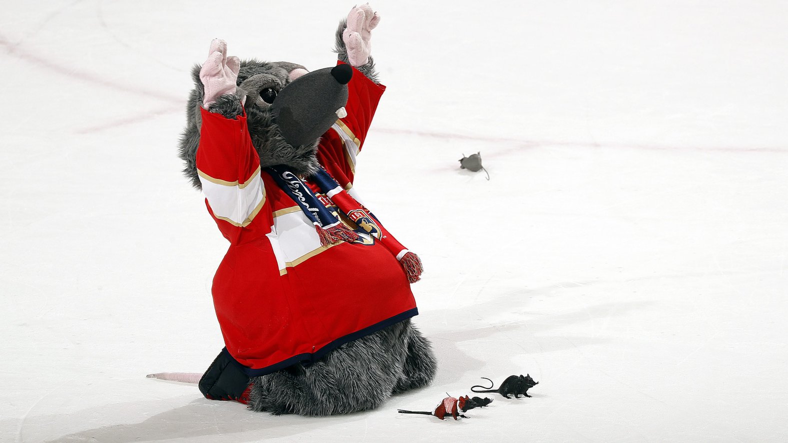 Florida Panthers fans’ rat-throwing tradition explained – NBC Chicago