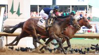 The Belmont Stakes horses, post positions and odds