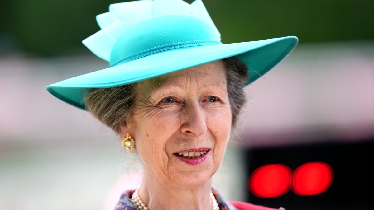 Princess Anne released from hospital after sustaining head injury 