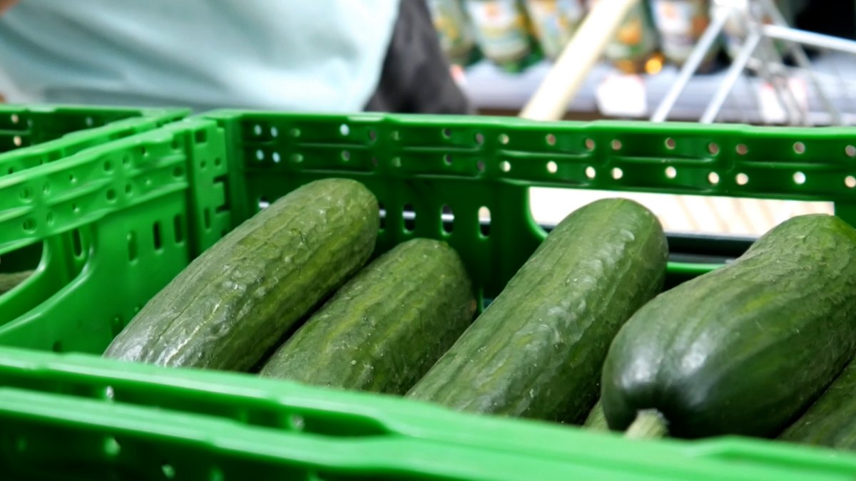 Cucumber recall Illinois: New brands added to list amid multistate salmonella outbreak