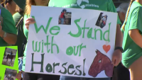 Scores of horse riders fight to keep Palatine Stables open as closure looms