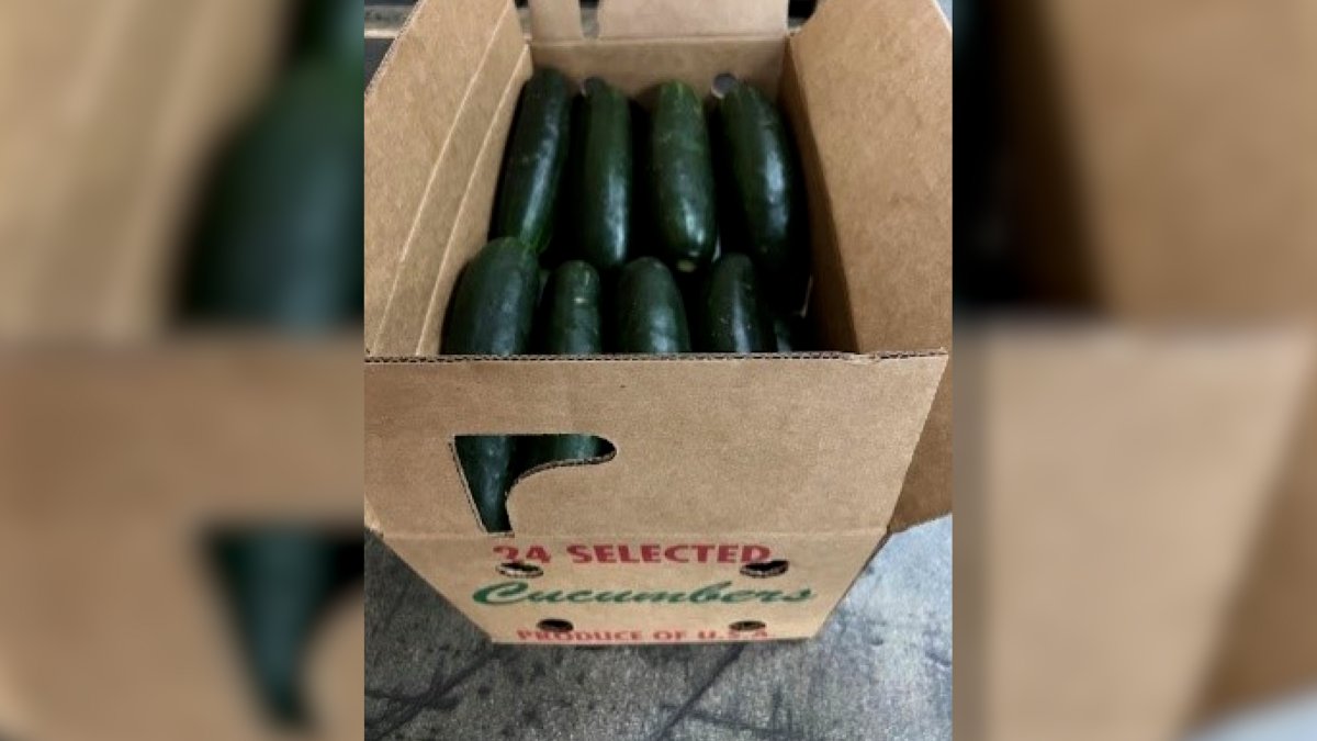 Cucumbers recalled in 14 states over salmonella concerns NBC Chicago