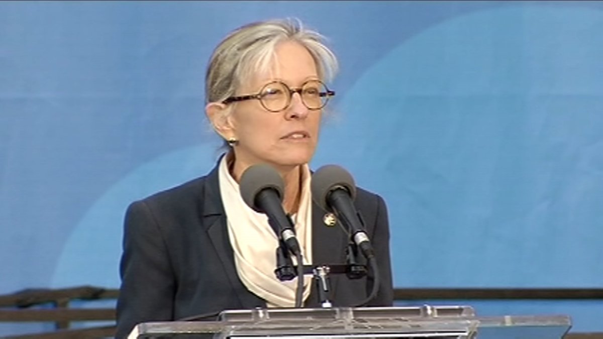 Chicago philanthropist Ann Lurie dies at age 79 Chicago philanthropist Ann Lurie dies at age 79