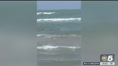 South Padre shark attack victim shares her story