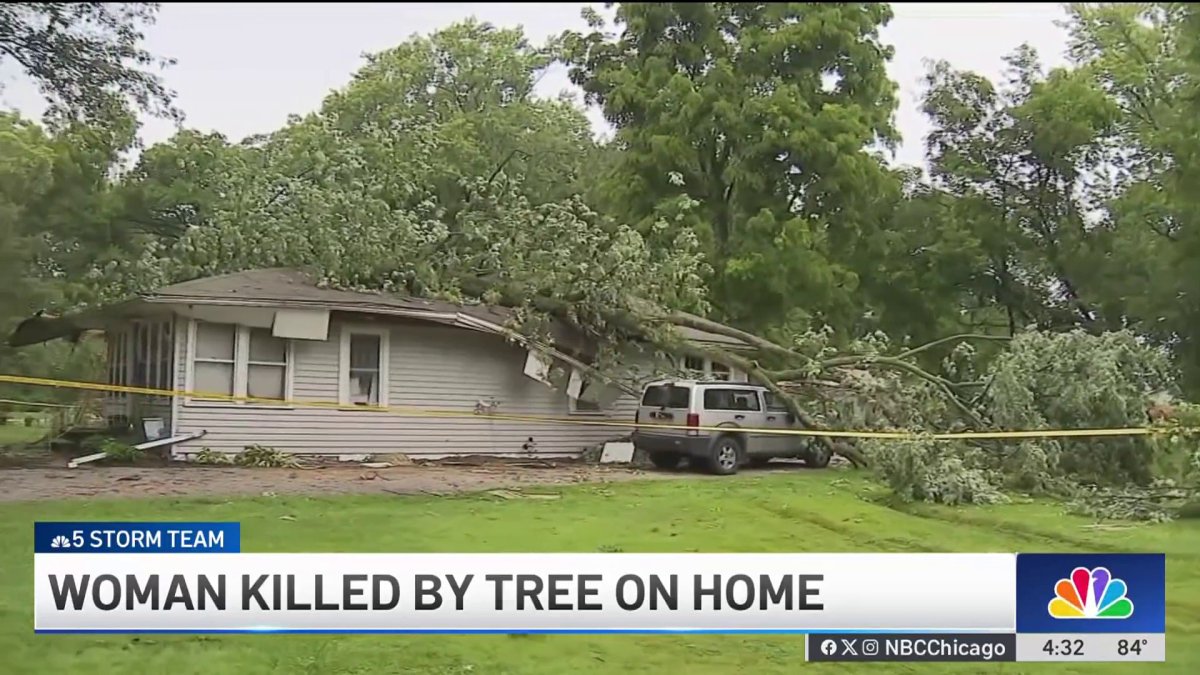 Cedar Lake woman killed after tree falls on woman in severe storms ...