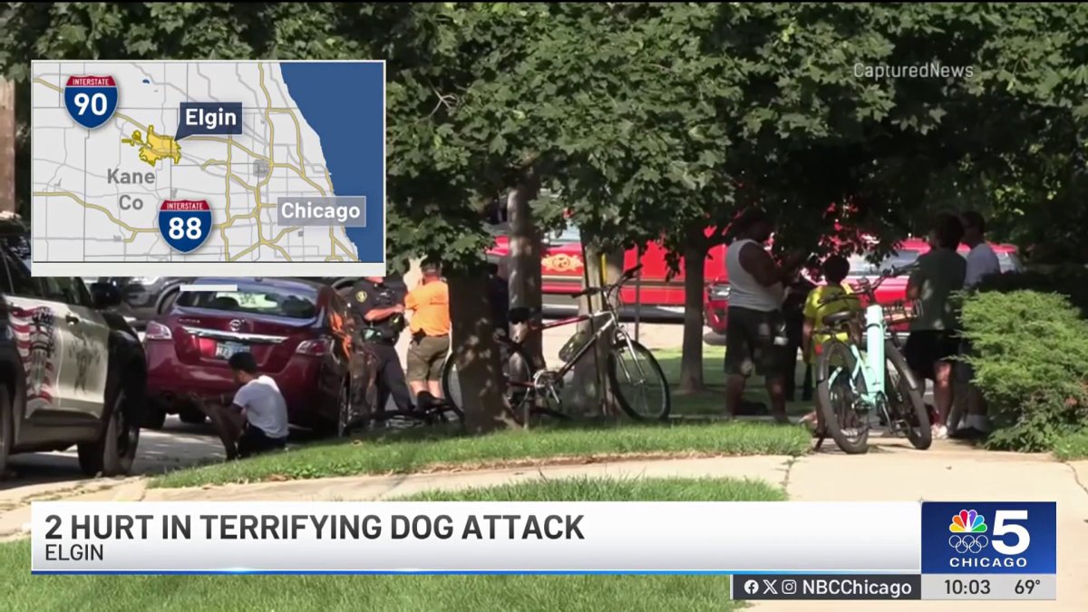 Police fatally shoot dog in Elgin after animal attacked its owners ...