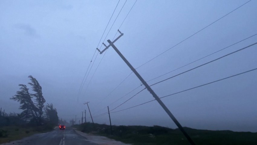 A tree and telephone pole bend with the wind on a road