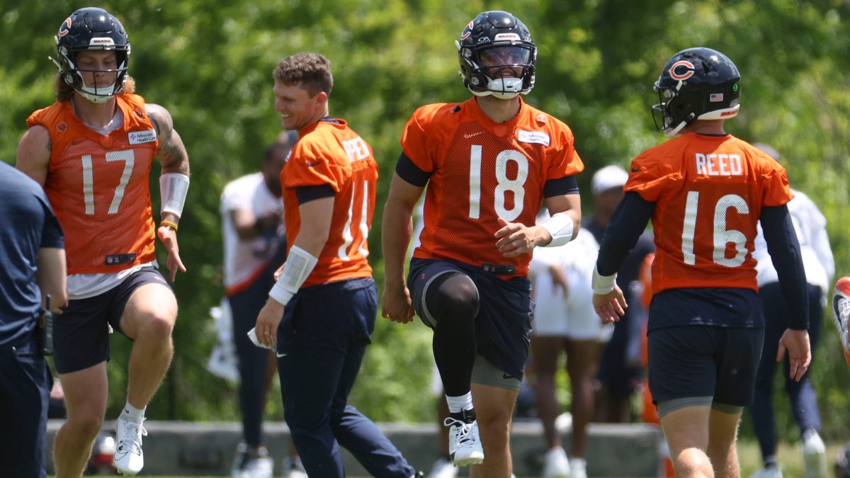 Info on Chicago Bears quarterbacks including Tyson Bagent, Austin Reed ...