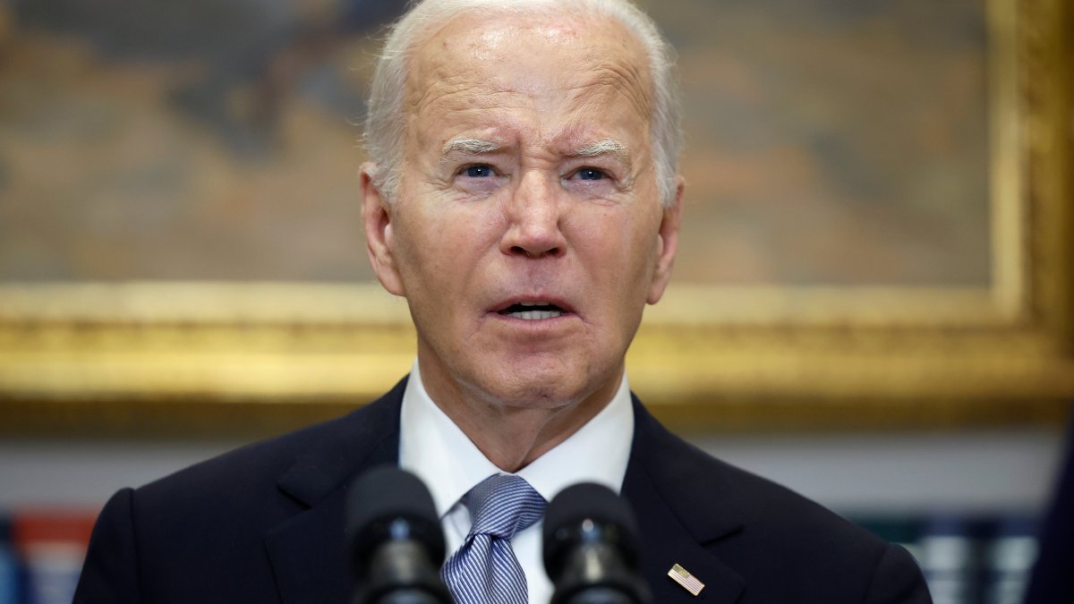 House Speaker Mike Johnson calls on Biden to invoke 25th
