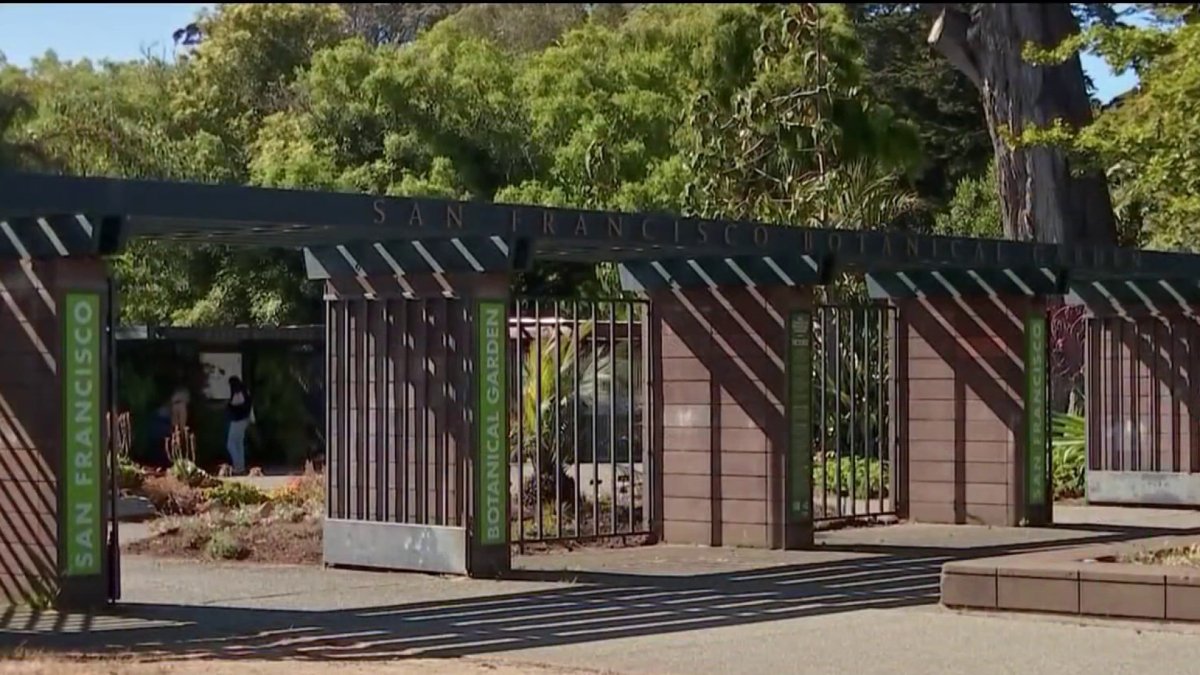 Officers kill 3 coyotes at San Francisco Botanical Garden after attack on 5-year-old girl