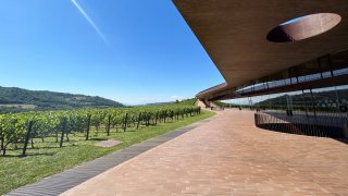 The vineyards of Antinori nel Chianti Classico, part of the Marchesi Antinori estate, in Tuscany, Italy.