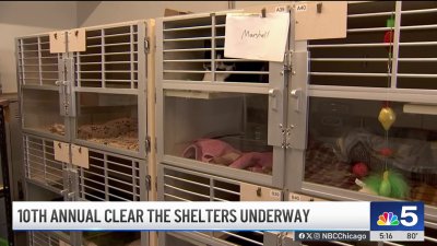 Clear The Shelters campaign returns for 10th year