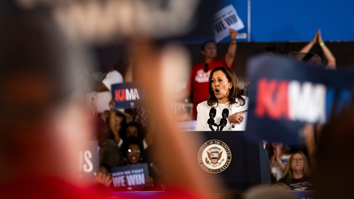 Harris rally in Michigan interrupted by pro-Palestinian protesters ...