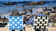 A couple sit and enjoy as hundreds of sea lions invaded San Carlos Beach in Monterey, California, United States on August 20, 2024.