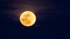 Next week's full moon will be particularly special. What to know about the Harvest Moon