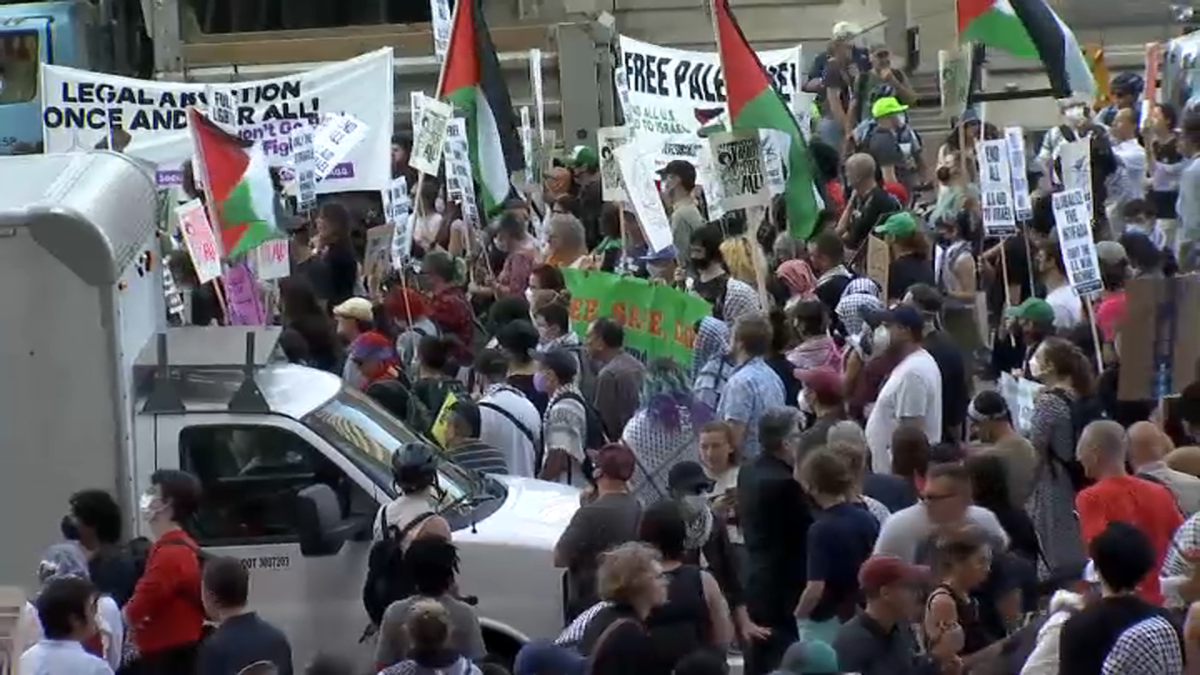 Dnc Convention 2024 Protest Live Zoe Lindie