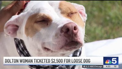 Dolton resident raises complaint over $2,500 ticket for loose dog