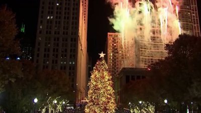 Nominations now open for Chicago's official Christmas tree at Millennium Park