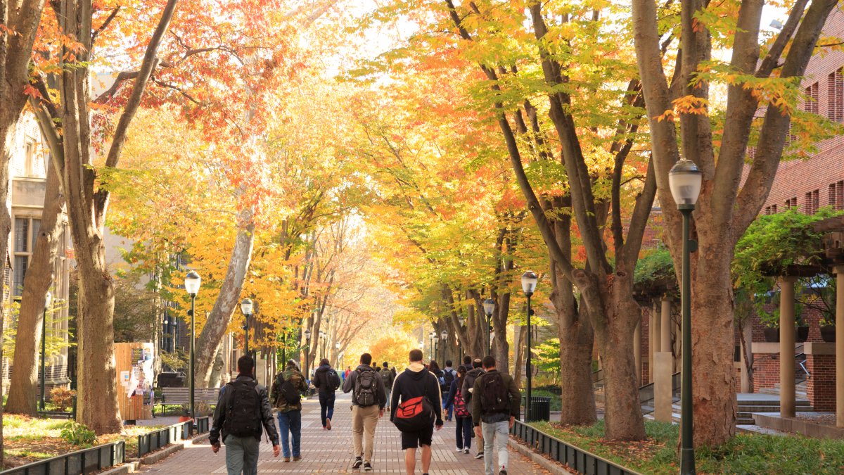 Northwestern University ranks 6th on Best Colleges list – NBC Chicago