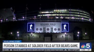 Person stabbed at Soldier Field after Chicago Bears game: police