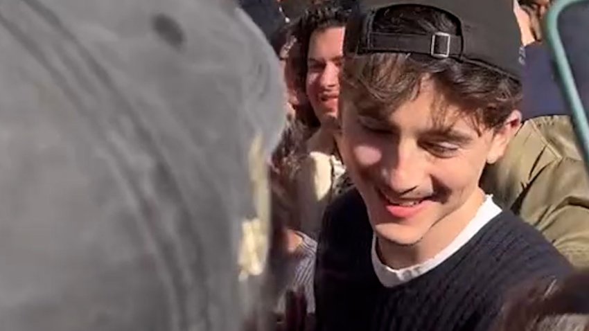 Timothée Chalamet greets fans