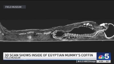 3D scan offers look inside mummy's coffin at Field Museum