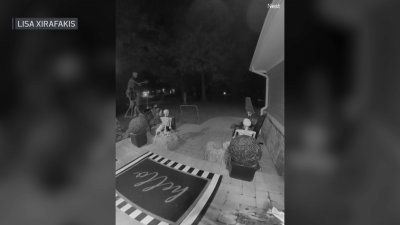 Video shows vandals destroying suburban family's Halloween decorations