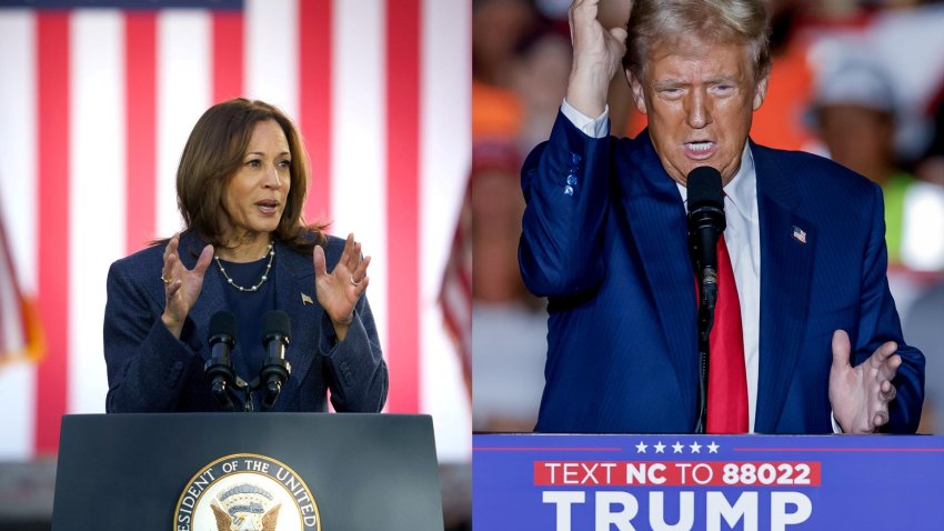 Esto es lo que prometen Kamala Harris y Donald Trump si ganan las elecciones