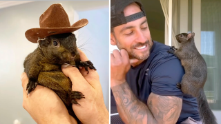 Mark Longo with his pet Squirrel named Peanut