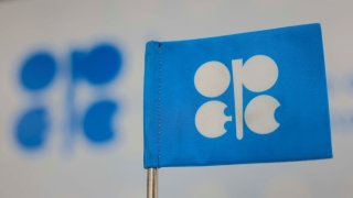 A view shows the logo of Organization of the Petroleum Exporting Countries (OPEC) during the United Nations climate change conference COP29, in Baku, Azerbaijan November 13, 2024. 