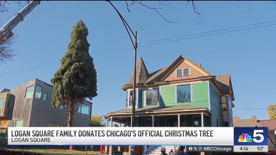 Logan Square family donates Chicago's official Christmas tree