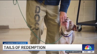 Tails of Redemption animal rescue program helps dog find new home