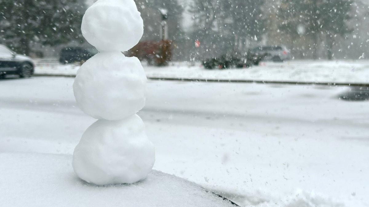 Chicago Winter weather timeline: When snow will be the heaviest – NBC ...
