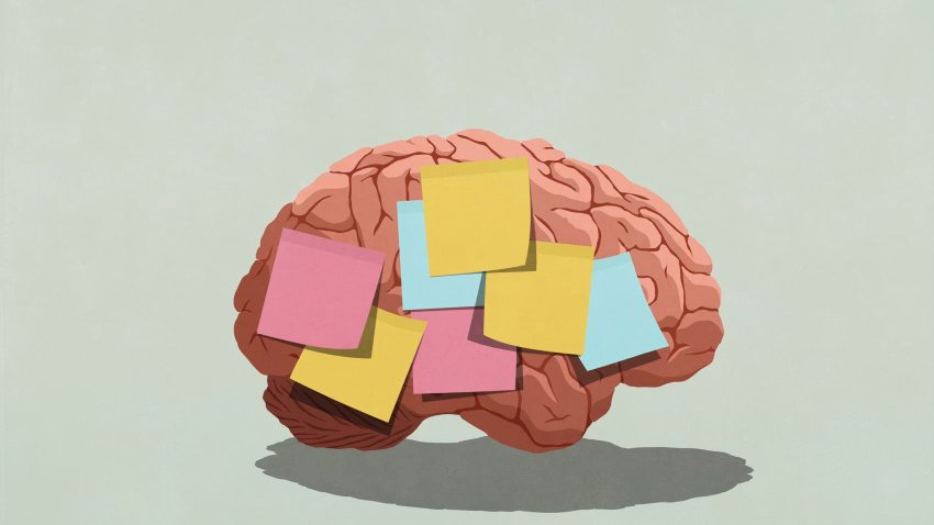 Neurologist: This is the No. 1 thing I avoid to keep my brain healthy and memory sharp