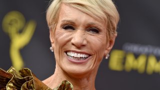 Barbara Corcoran is a self-made millionaire: Why she refuses to fly first class